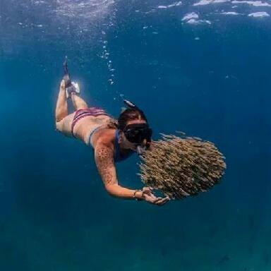 Woman snorkelling with bait ball